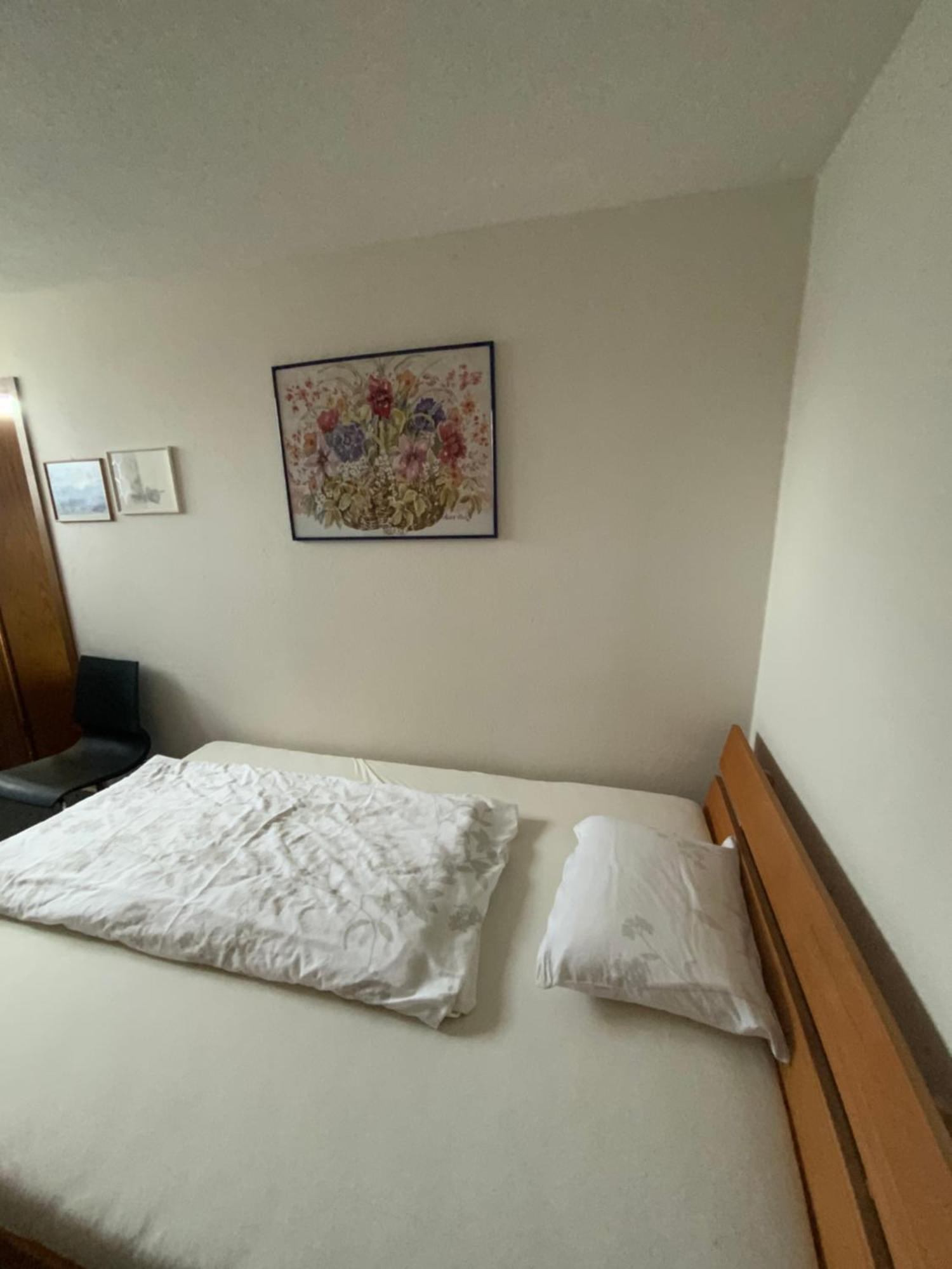 Hotel Restaurant Pizzeria Rotes Haus Münsterlingen المظهر الخارجي الصورة
